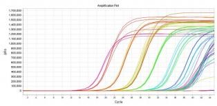 假病毒基因表達
